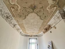 fot. Stefan Brajter / UMŁ